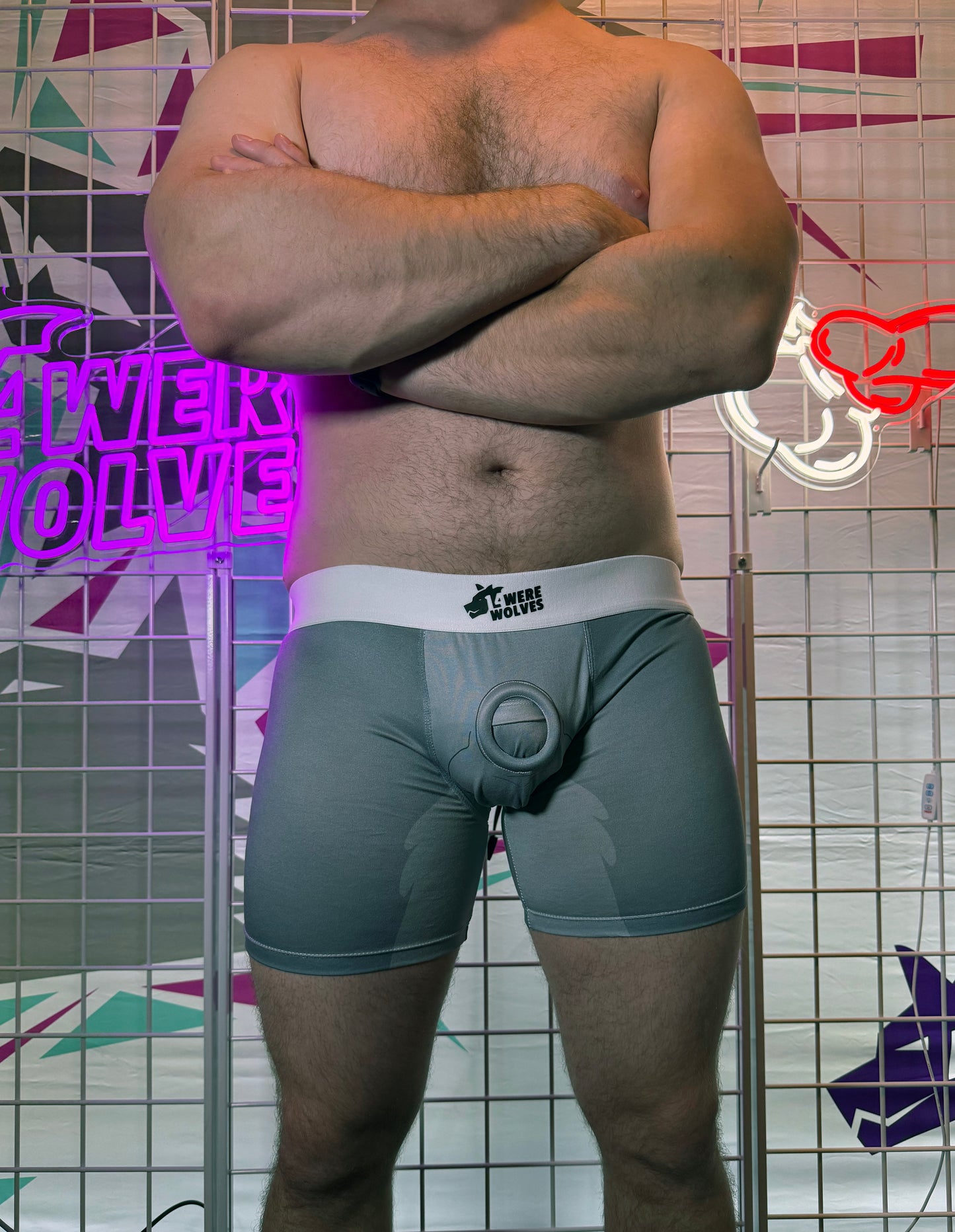 Sheath Trunks - Grey